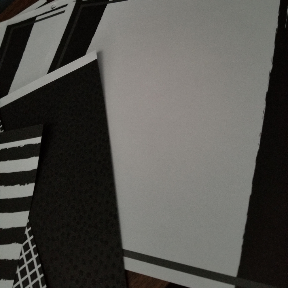 Bundle of (25) Extra Cardstock Paper in Black and White